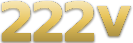 222v logo